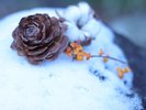 12月には雪もチラリと舞っています。