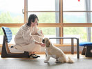 客室ーペットと一緒