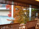 ただそこに腰掛けているだけで魅せられる“養老の季節”をこころ行くまで…