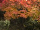 ■山側風景■