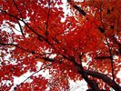 ■ロビーより【秋】■