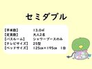 セミダブルルーム概要