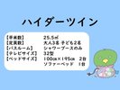 ハイダーツインルーム概要