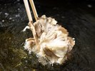 夕食:ライブキッチン まいたけの天ぷら