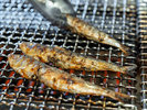 朝食ライブキッチン:焼き魚