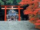 霧島神宮 紅葉の季節 ※写真はイメージです。
