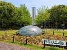 大仙公園