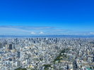 あべのハルカスからの大阪市街の風景