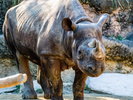 天王寺動物園