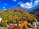 客室より