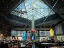 音と光、映像によりリゾートを感じさせる空間を演出。 LUXE DINING HAPUNA(メインタワー1F)