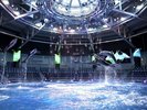 【デイver.】ドルフィンパフォーマンス アクアパーク品川