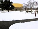 雪化粧