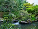 【庭園】こだわりの純日本庭園が季節の移り変わりを伝えてくれます。