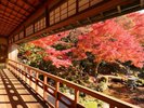 【堀庭園:秋】日本らしい庭園が見せる、美しい自然の景色をお愉しみいただけます。