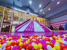 ルートンわんぱくランド ボールプール