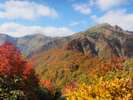 【谷川岳】高山植物の宝庫としても知られ、トレッキングや森林浴は人気コース
