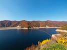 【奈良俣ダム】新緑や紅葉など四季折々の風景が楽しめる。