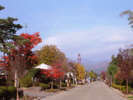 【たくみの里】紅葉も楽しむことができるのどかな里の風景。