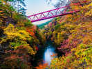 【猿ヶ京】駒形峡や赤谷湖周辺の紅葉が有名