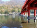 大沼(おおぬま)の湖畔に建つ朱色の社殿と、周囲の木々が織りなす紅葉は絶景です【赤城神社】
