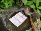 水に浸けると文字が浮かぶ!榛名神社の「御神水開運おみくじ」