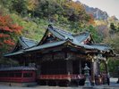 赤や黄色に染まる妙義山を背景に朱色の総門や黒塗りの社殿が美しい妙義神社。見頃は11月上旬から11月下旬