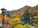 大自然に囲まれた世界の銘湯「宝川温泉」で絶景と温泉をお楽しみください