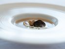 Soupe_2