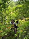 美ヶ原-王ヶ頭ハイキングプラン