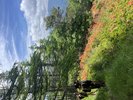 美ヶ原-王ヶ頭ハイキングプラン