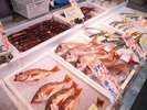 水揚げされたばかりの魚介が並ぶ、活気あふれる競りの風景
