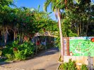 【宮古島市熱帯植物園】◆当館から車で約11分