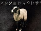 ヒツジのいらない枕