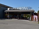 天王寺動物園【所要時間:徒歩20分】