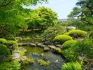 夏の由志園は、鮮やかな緑が美しいだけでなく、昔ながらの涼を呼ぶしつらえで、日本の夏を味わえます。