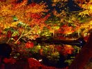 日本庭園、由志園。紅葉のシーズンには、美しく色づいた庭園を楽しむことができます。