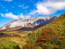 新緑と紅葉のコントラストは大山でも屈指の絶景ポイント!