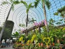 【とっとり花回廊】お車で約30分。四季折々の花々と大山の眺望を楽しむ日本最大級のフラワーパークです。