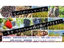 長柄で収穫・農業体験できます。ご家族で参加してみてはいかがですか!!