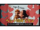 ペット同伴にてお泊りできます。