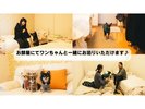ワンちゃんの同伴OK お部屋タイプが限定されますので、「ペット同伴プラン」よりご確認下さい。