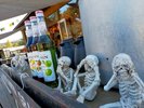 GRAX�n���E�B��