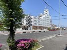 �O���C���L�c��쑤����̌����l�q