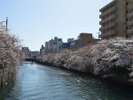 野毛町