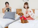 愛犬専用客室