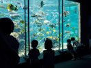 串本海中公園