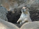 【江戸川区自然動物公園】