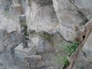 【上野動物園】
