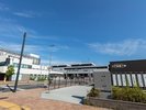 【豊洲市場】